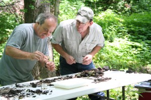 Scott and Bruce collect invertebrates during invertebrate