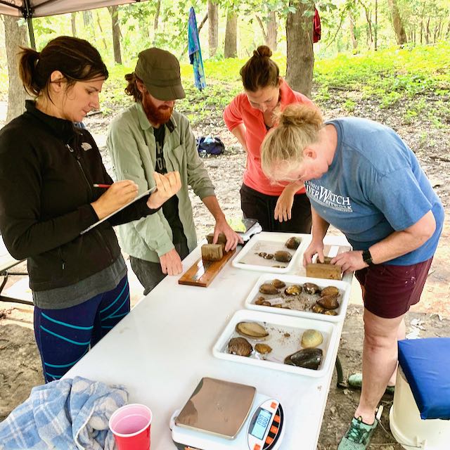 Measuring Mussels