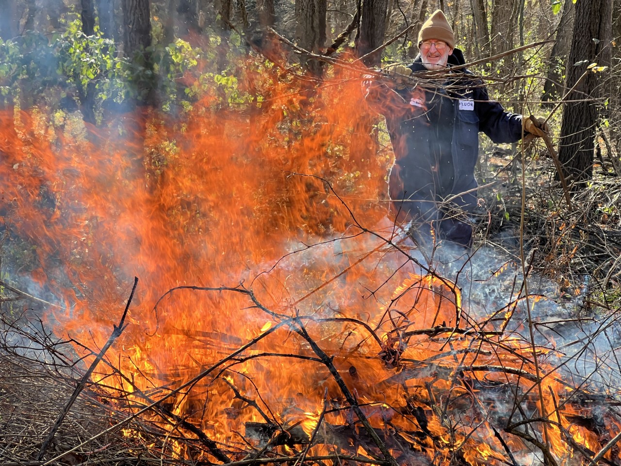 Invasive Species Removal - Monthly Burn Day