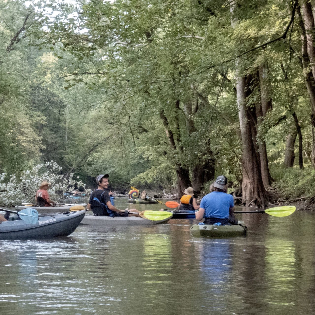 Kayaking on the Sangamon