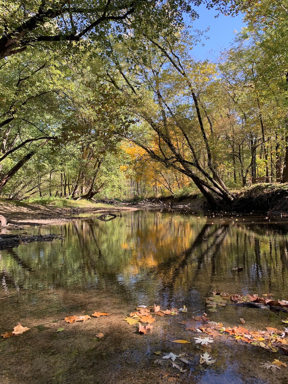 Autumn on the Sangamon @ Monticello