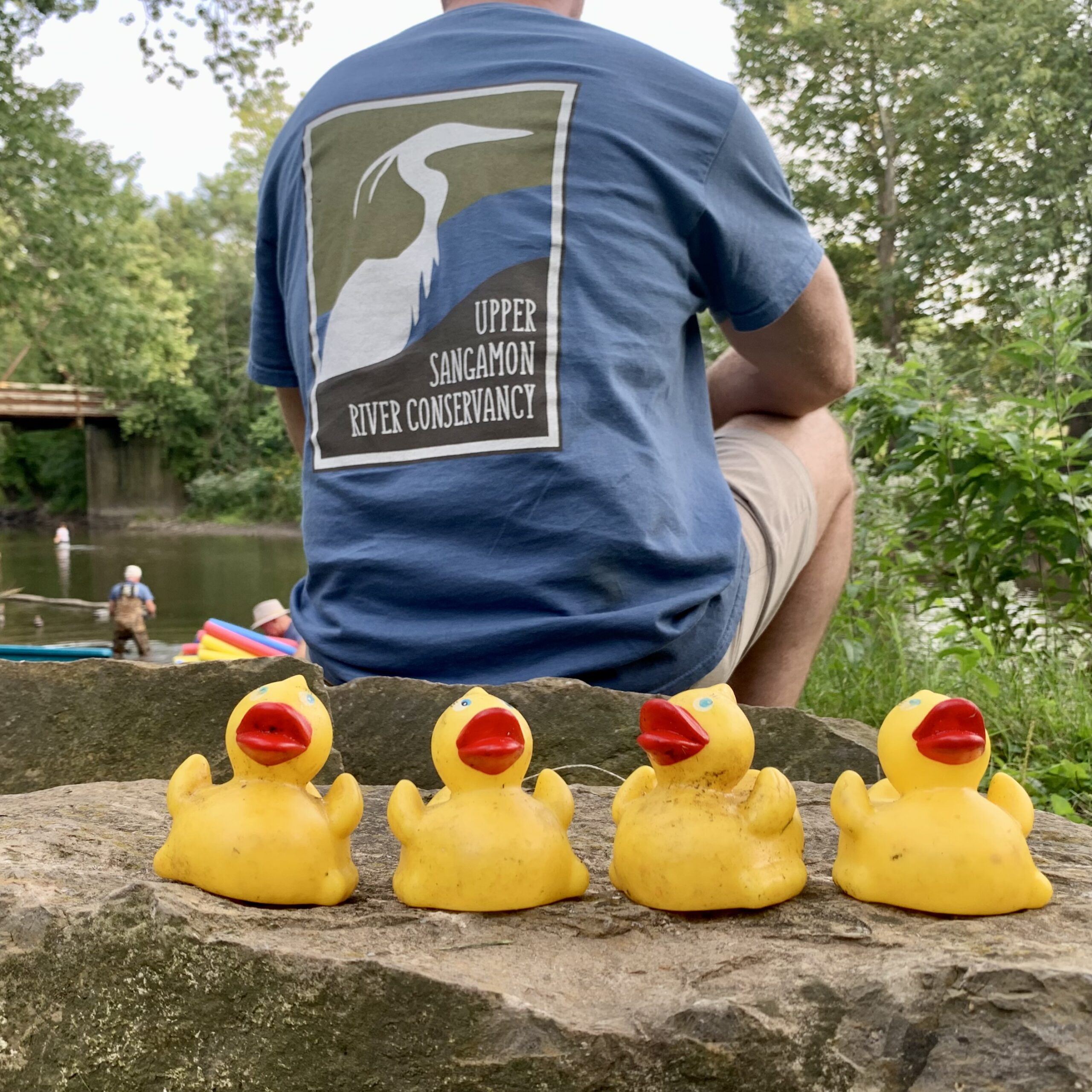 Winning Ducks